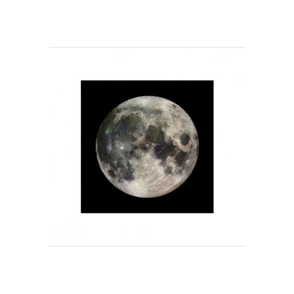 The Moon - Månen multifärg