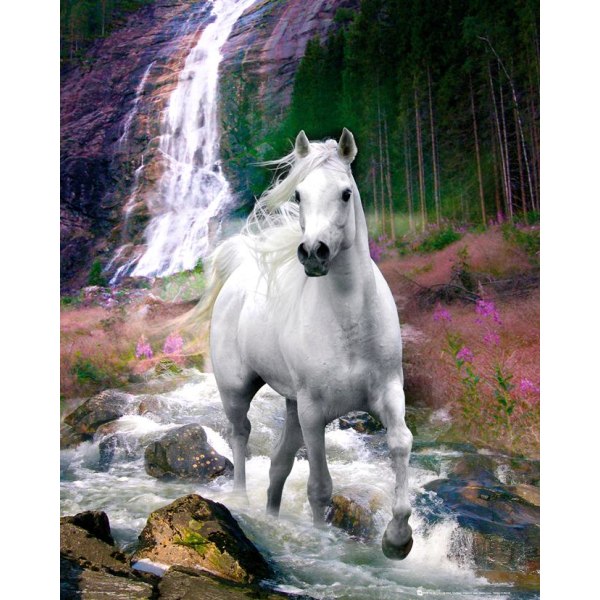 Bob Langrish - Waterfall and Horse Multicolor