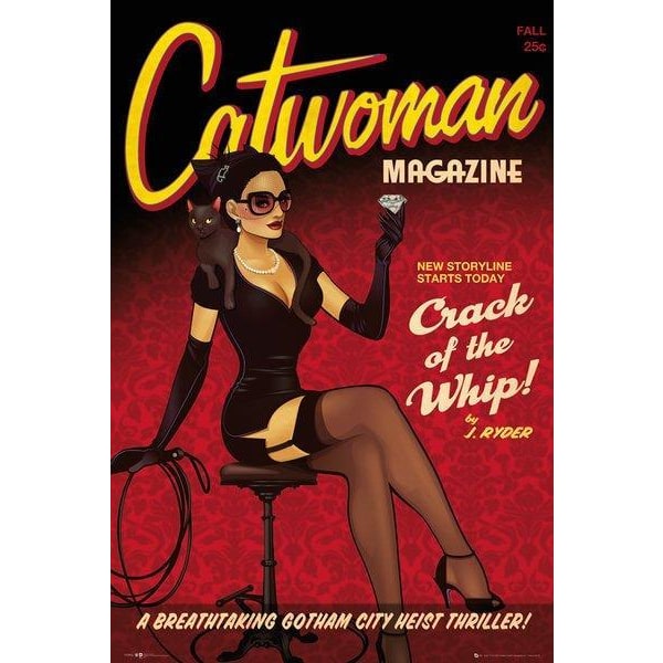 Catwoman - Knæk pisken Multicolor