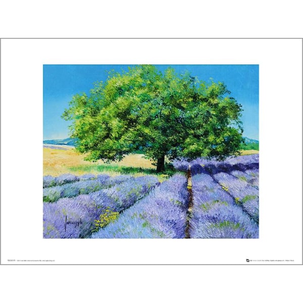 Exklusivt Art Print - Jean-Marc Janiaczyk - Tree and Lavenders multifärg