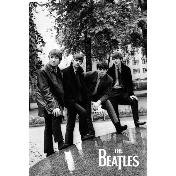 The Beatles - Black and White Park Portrait multifärg