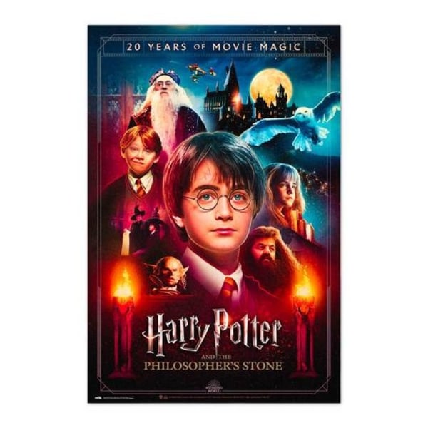 Harry Potter - The Philosophers Stone - 20 years anniversary Multicolor