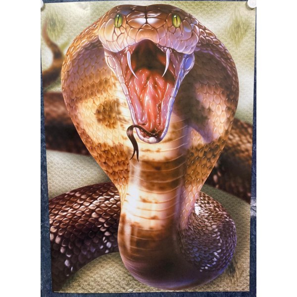 Cobra multifärg