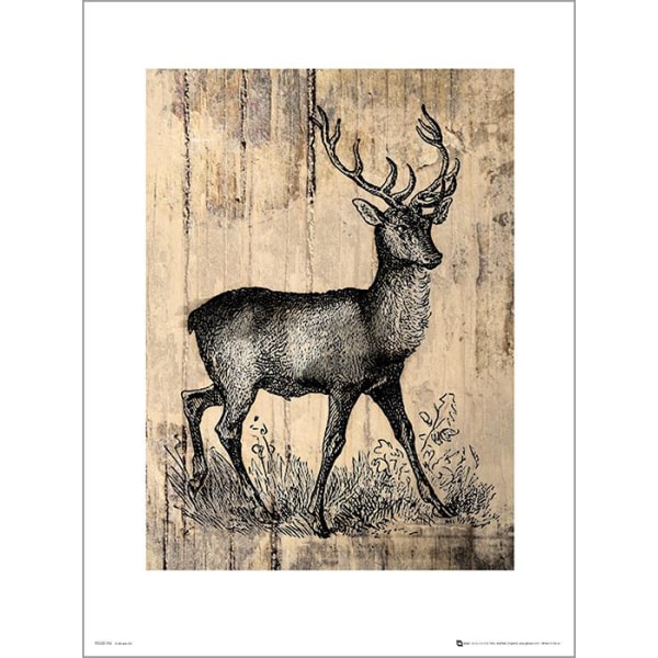 Eksklusivt kunsttryk - Deer Skitse Multicolor