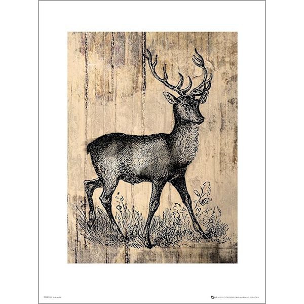 Exklusivt Art Print - Deer Sketch multifärg