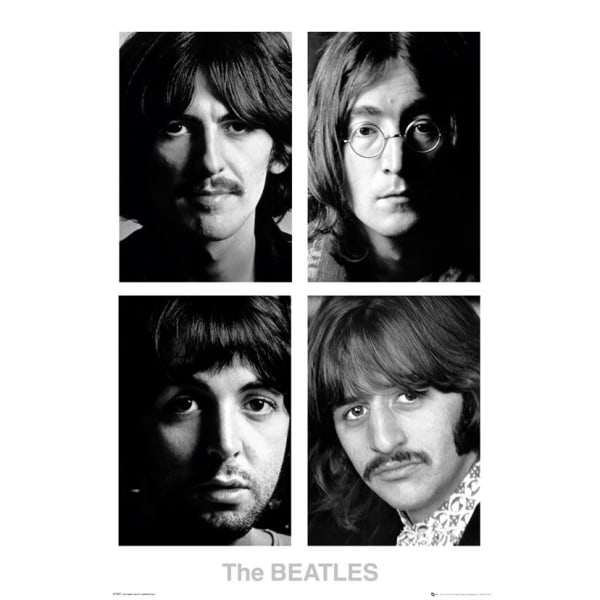 The Beatles - White Album multifärg