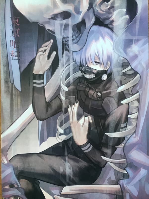 Manga - Tokyo Ghoul 2 multifärg