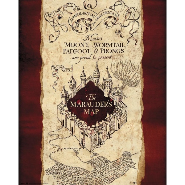 Harry Potter - Marauders Map Multicolor