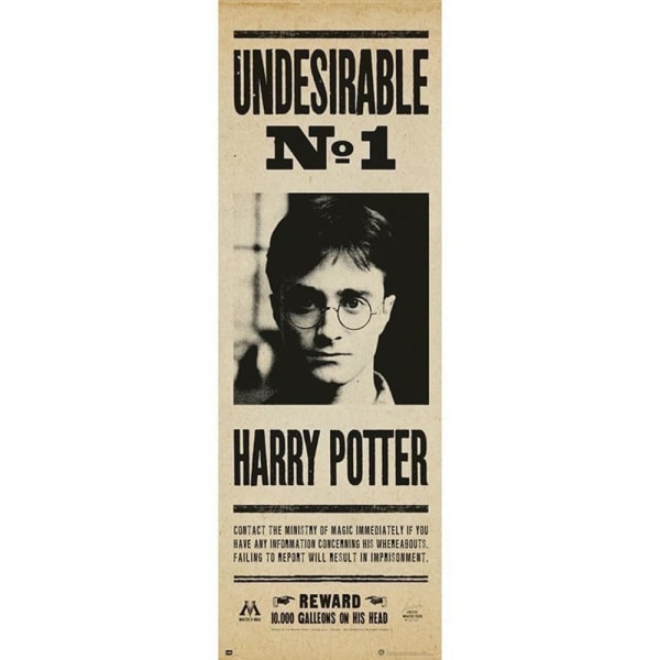 HARRY POTTER UNDESIRABLE NO 1 Multicolor