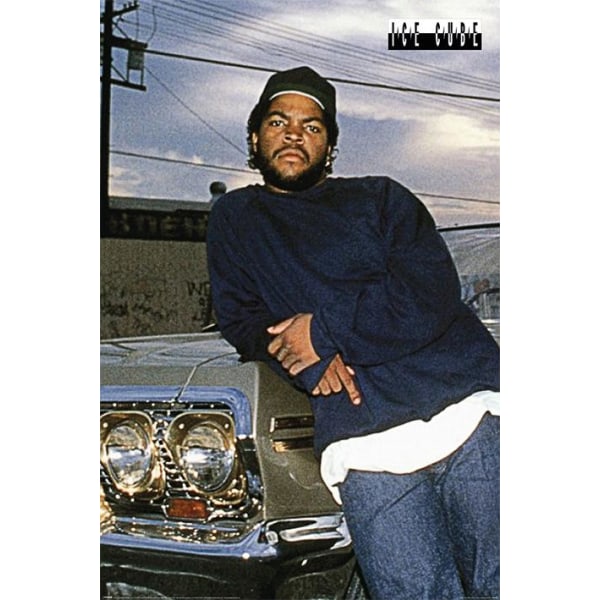 Ice Cube (Impala) multifärg