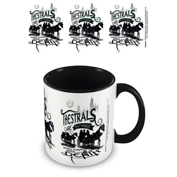 HARRY POTTER (THESTRALS) BLACK  - Mugg multifärg