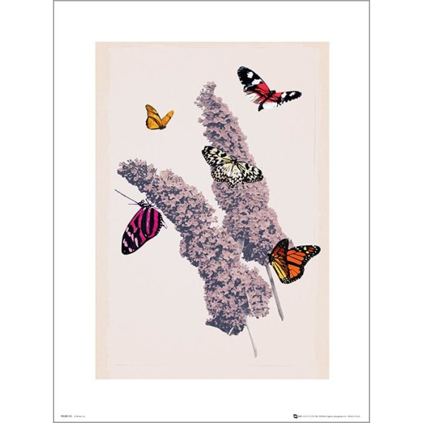 Exklusivt Art Print - Butterflies - Fjärilar multifärg