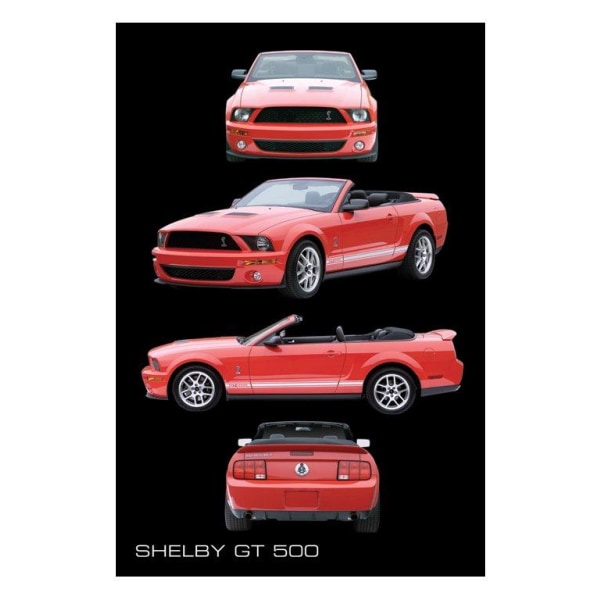 SHELBY GT 500 Multicolor