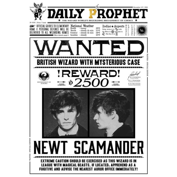 A3-print - Harry Potter - Daily Prophet - Eftersøgt Newt Scamander Multicolor
