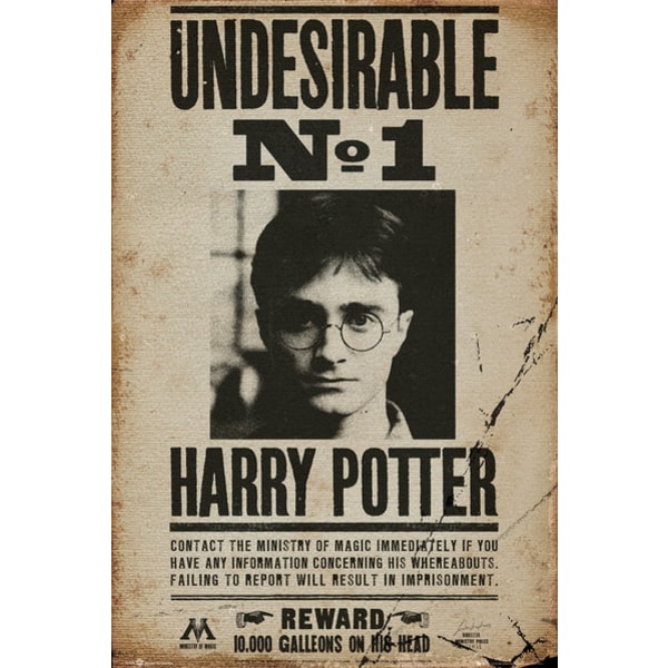 Harry Potter - Undesirable No 1 Multicolor