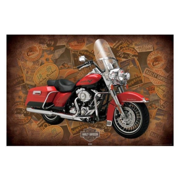 Harley Davidson - Road King multifärg