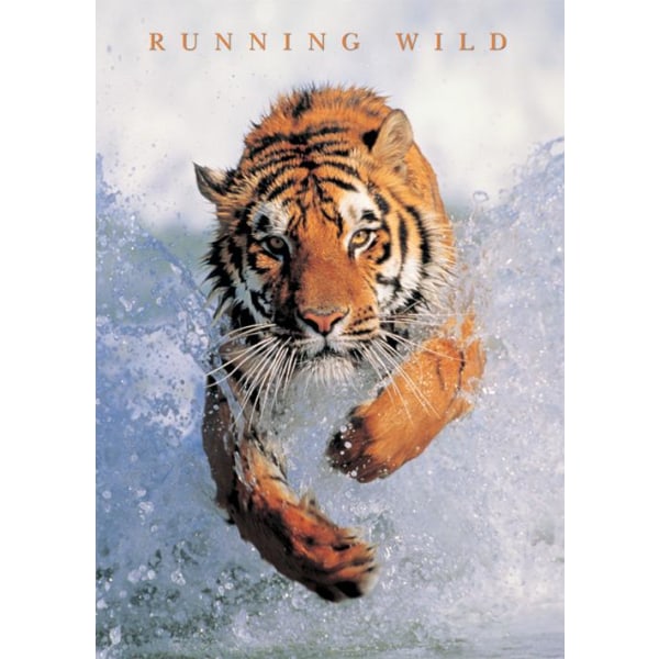 Running Wild - Tiger Multicolor