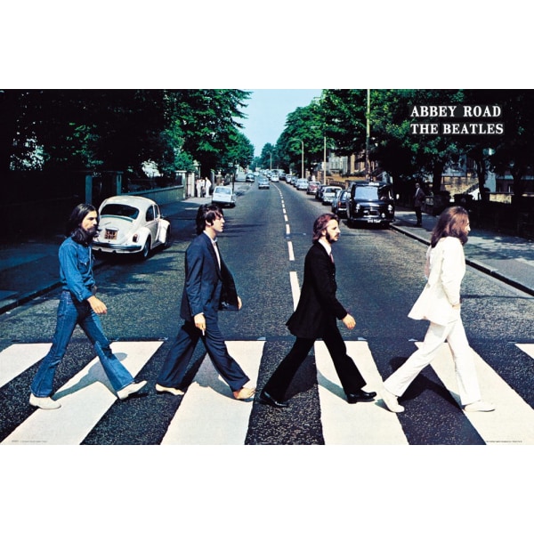 The Beatles - Abbey Road multifärg
