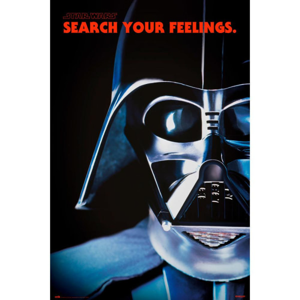 STAR WARS - D.W. - SEARCH YOUR FEELINGS Multicolor