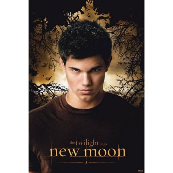 Twilight New Moon - Edward Multicolor