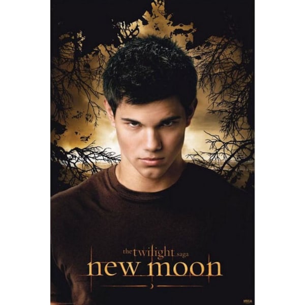 Twilight New Moon - Jacob Multicolor