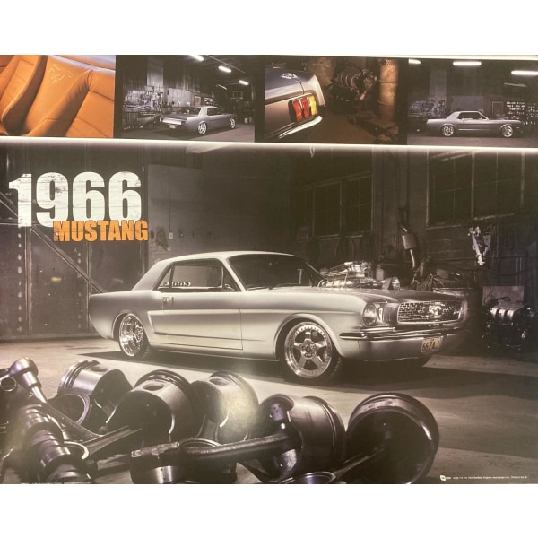 Mustang 1966 multifärg