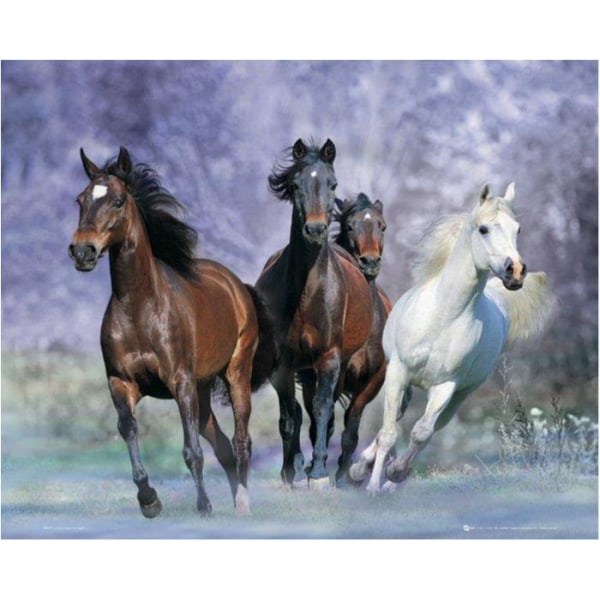 Poster - Bob Langrish - Running, hästar Multicolor