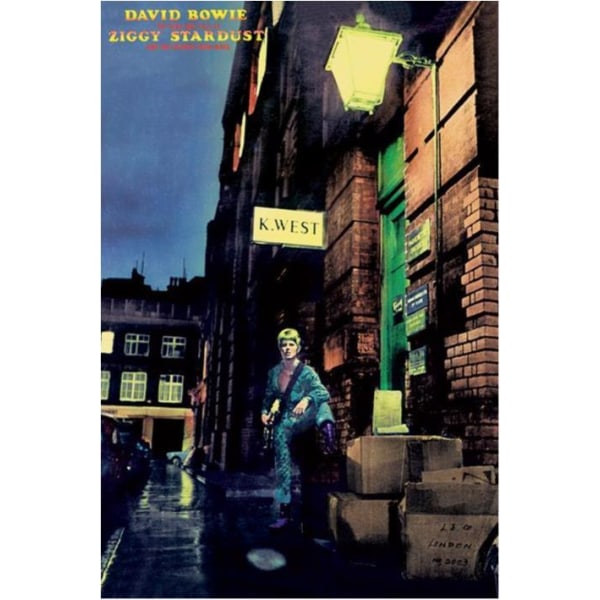 David Bowie - Ziggy Stardust multifärg