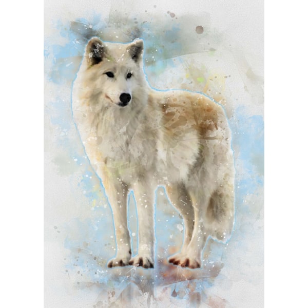 A3 Print - White Wolf - Vit Varg Multicolor