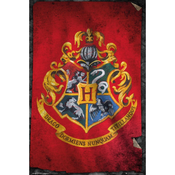 Harry Potter - Hogwarts Flag multifärg