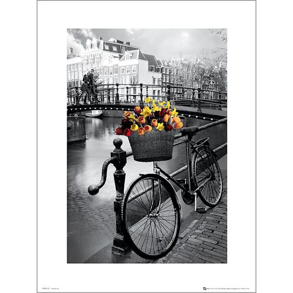 Exklusivt Art Print - Amsterdam Bike Multicolor