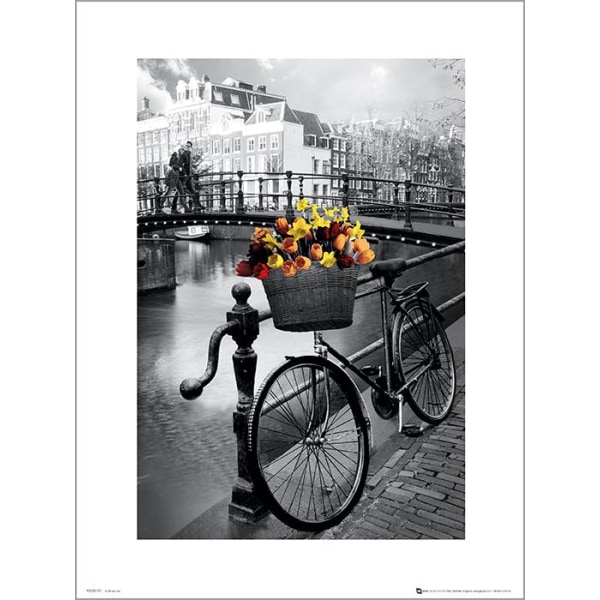 Exklusivt Art Print - Amsterdam Bike multifärg