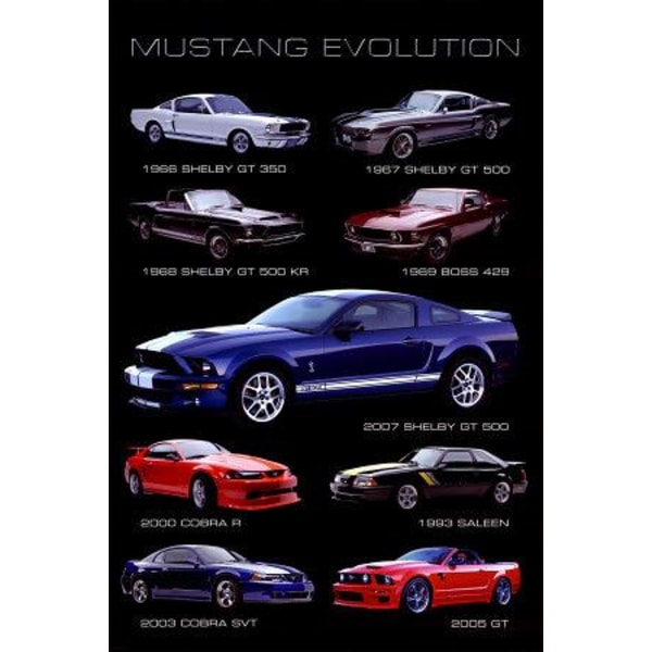 Mustang Evolution Multicolor