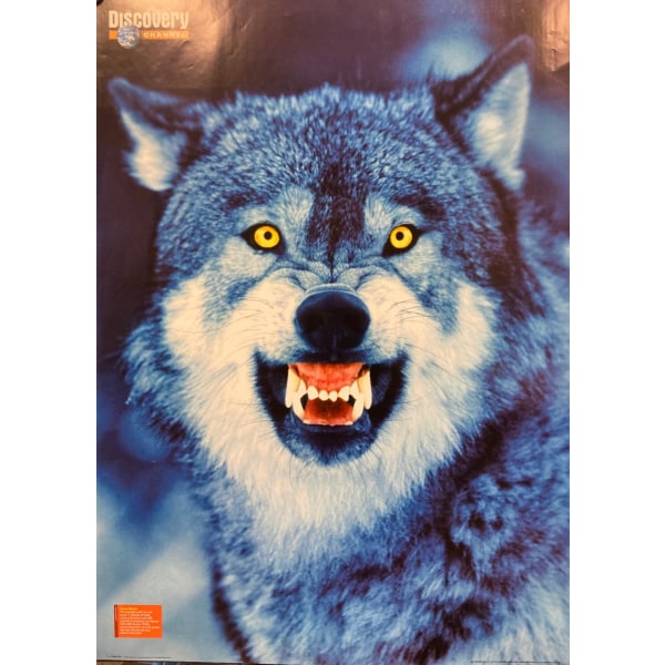 Wolf - Powermouth - Discovery-kanal Multicolor