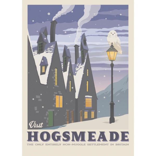 Maxi - Harry Potter - Visit Hogsmeade Multicolor