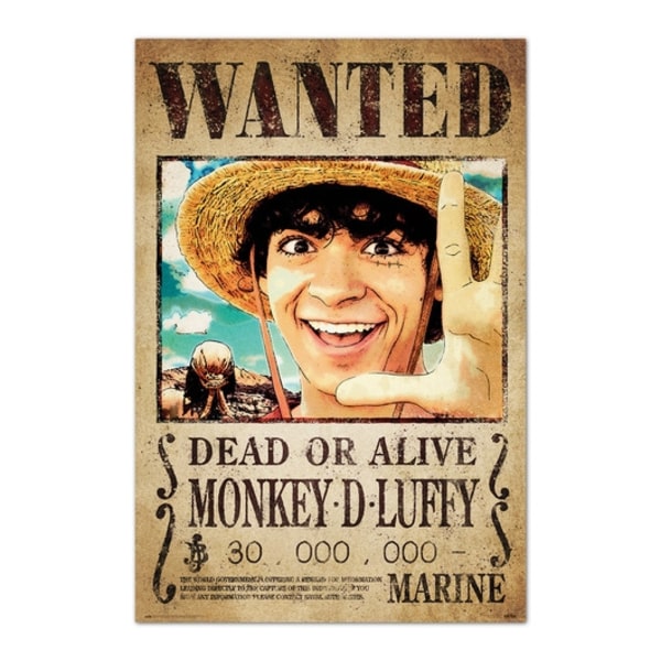 ONE PIECE NETFLIX - WANTED MONKEY D. LUFFY multifärg