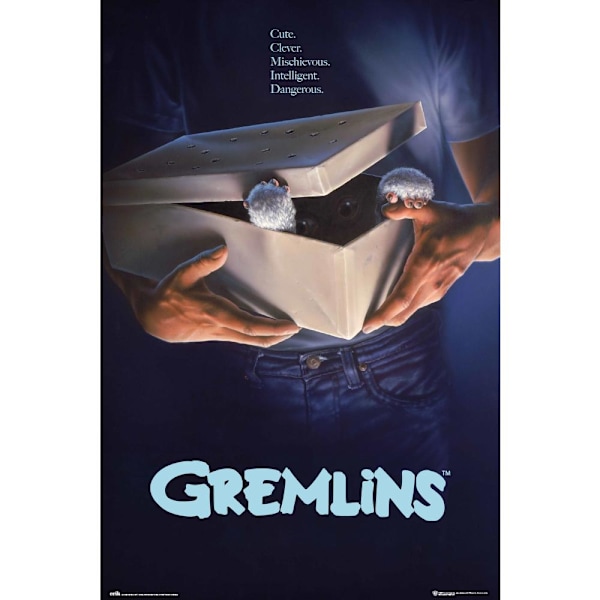 GREMLINS - ORIGINALS Multicolor
