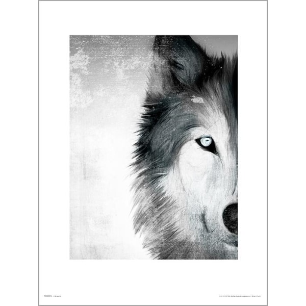 Eksklusiivinen taideprintti - Wolf maali - Wolf musta/valkoinen Multicolor