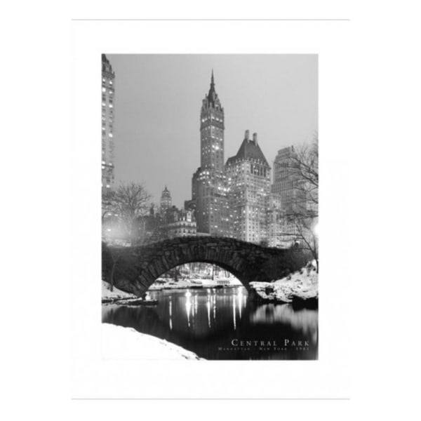 Poster - Central Park 1961 B/W Multicolor