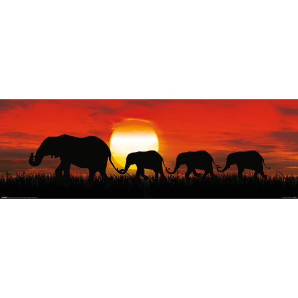 Sunset Elephants - Elefanter i solnedgång multifärg