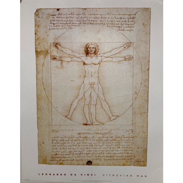 Da Vinci - Vitruvian Man Multicolor