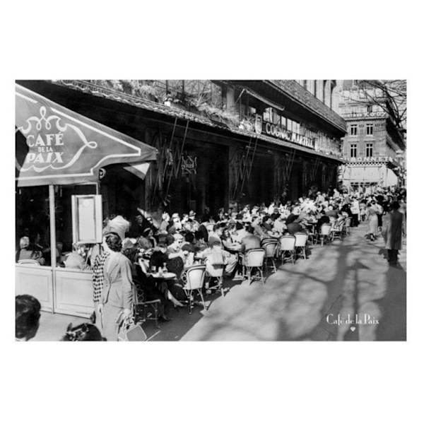 Café de la Paix multifärg