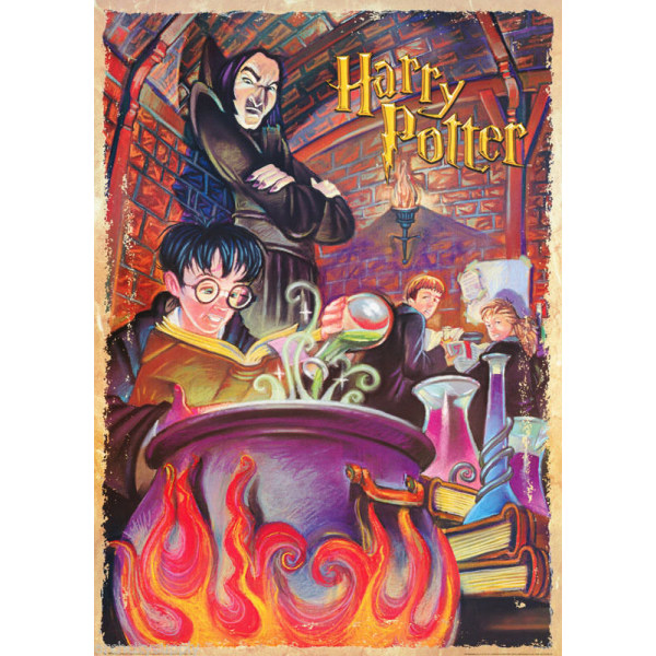 Harry Potter - In Class multifärg
