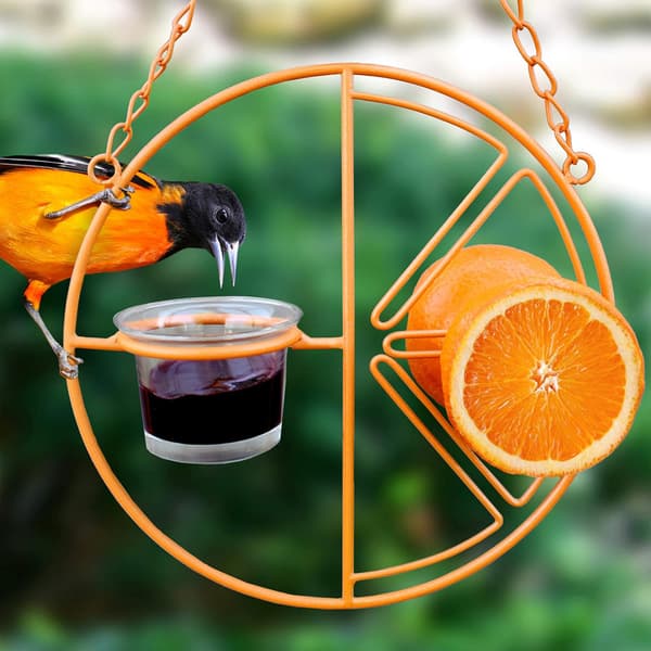 Automatisk fuglefoder Clementine Oriole Foder Orange