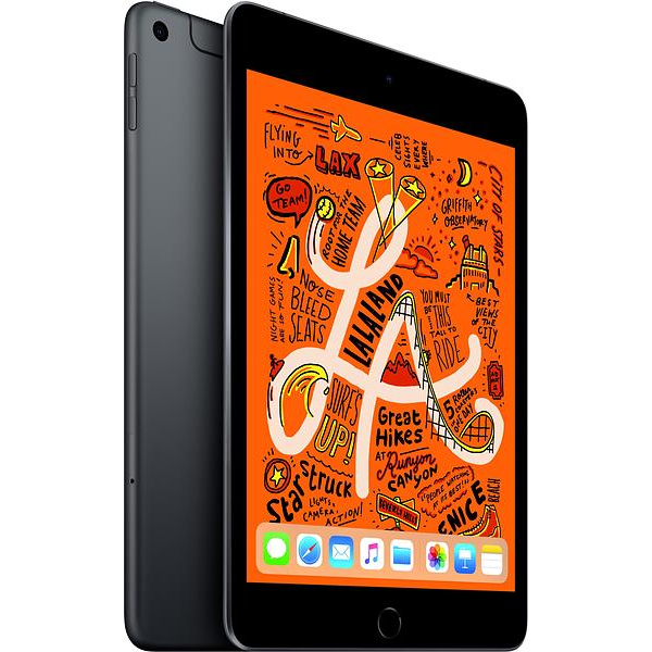Käytetty iPad Mini 5 256GB SIM Black Grade A