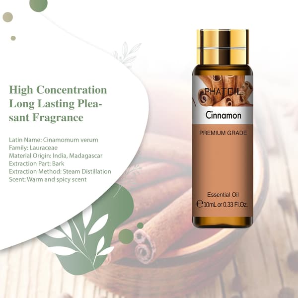 PHATOIL 10ml massage Cinnamon 10ml