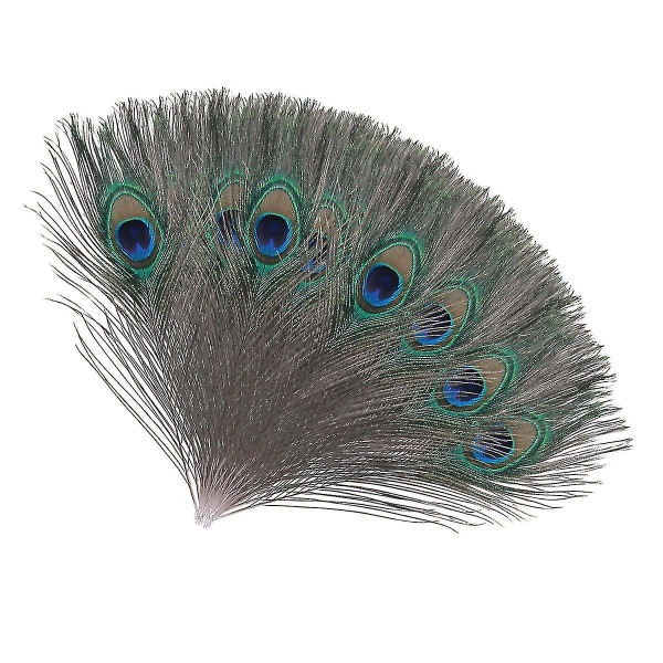 Naturliga stora påfågelfjädrar för dekoration 100 pcs x Small(20-30cm)