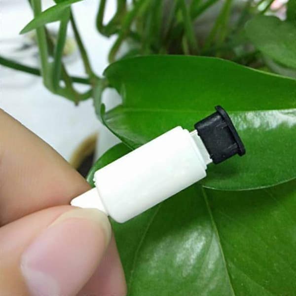 10 par USB Typ C hona och hane dammskyddande skyddsproppar (svart)