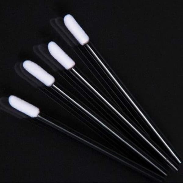 Lip Brushes, 200 Black Lip Brushes, Makeup Brushes, Lip Gloss Applicators, Application Tools, Makeup and Beauty Tool Kit. blue