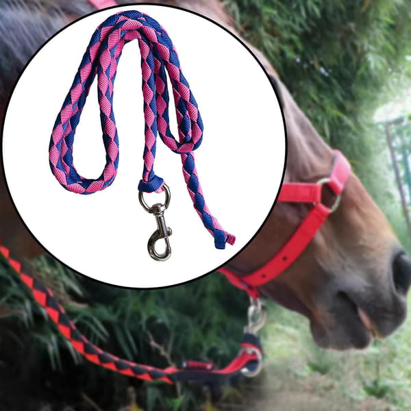 Hästgrimma med karbinhake, hållbar hästgrimma, flätad hästgrimma 4meters Blue Pink Optional